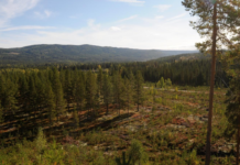 Historisk: Første norske solkraftverk som får konsesjon