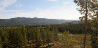 Historisk: Første norske solkraftverk som får konsesjon