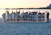 Lørdag ble en norsk miljøorganisasjon besluttet lagt ned