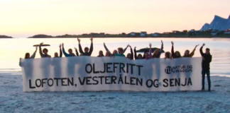 Lørdag ble en norsk miljøorganisasjon besluttet lagt ned