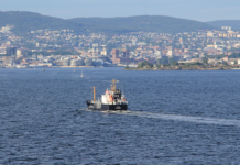 Vil ha omfattende redningsplan for Oslofjorden, med trålforbud og flere nullfiskesoner