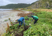 EU har anbefalinger om hvordan strendene skal være. Men norske strender har for mye søppel