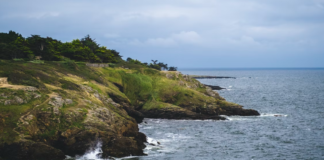 Europas kystlinjer skal kartlegges: Kan klimautsatte og sårbare økosystemer restaureres?