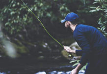 Dødelig lakseparasitt snart bekjempet