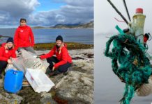 Næringslivet forsøpler mest, og frivillige rydder opp etter dem