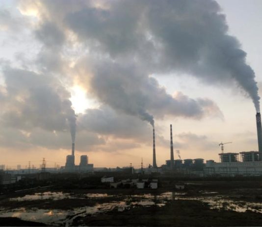 Påstand om kinesisk kull er bare tull