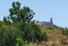 Klimaekspert: Nordmenn forstår ikke hvor farlig hetebølgene er