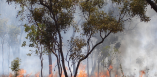 Store miljøødeleggelser i Australia