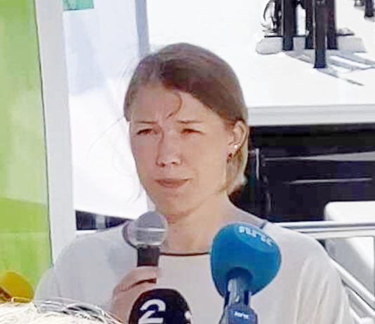 Arild Hermstad villig til å ta på seg ledervervet i MDG etter Bastholm