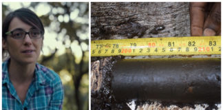 Nå roper forskere varsku om Kongos oljeplaner: Helt kritisk for å bekjempe klimaendringene at torvmarkene forblir urørt