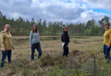 Nå er Klimasats-pengene delt ut – se hele listen over de som fikk