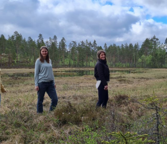 Nå er Klimasats-pengene delt ut – se hele listen over de som fikk