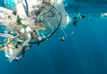 Norge leder sammenslutning som skal få slutt på plastforurensingen innen 2040