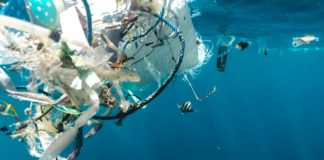 Norge leder sammenslutning som skal få slutt på plastforurensingen innen 2040