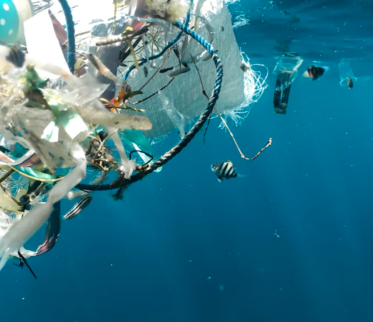 Norge leder sammenslutning som skal få slutt på plastforurensingen innen 2040