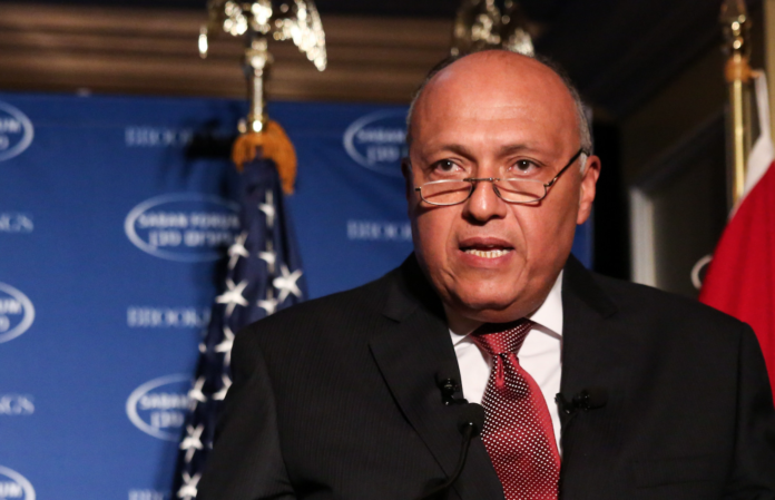 sameh_shoukry_Ralph Alswang_brookingsinstitution_2016_CC_010822