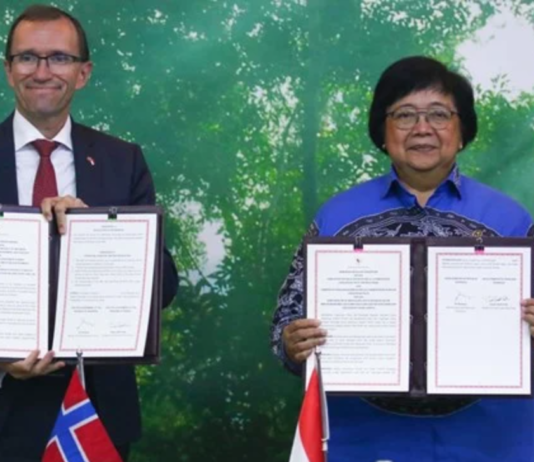 Tvist bilagt: Indonesias regnskogsamarbeid med Norge er gjenopptatt