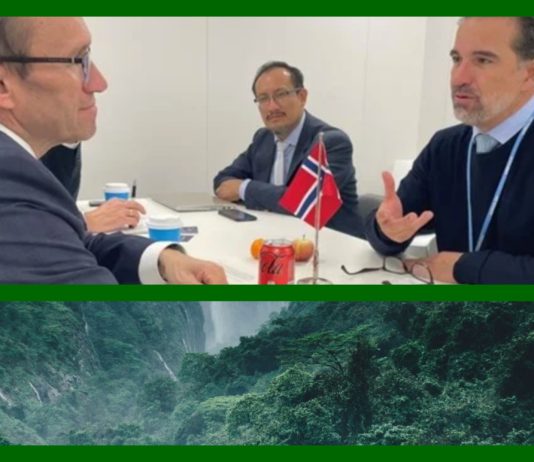 Ecuador har redusert avskoging – mottar 130 millioner kroner fra Norge