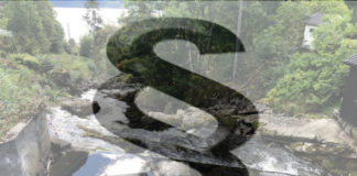 Fylkesmannens miljøvernavdeling: “Miljøvaktbikkja” til staten har fylt 40 år