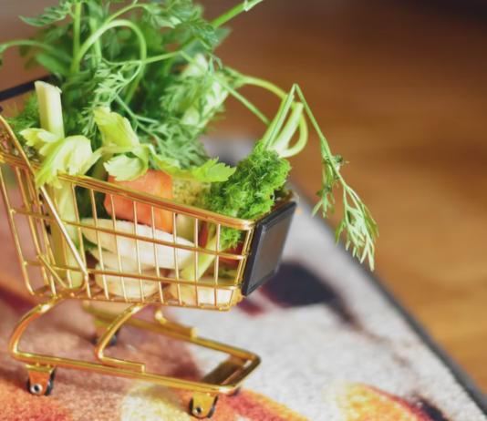 Ny norsk nettportal: “Skal vi velge vegetarburger eller hamburger?”, “Har dyra hatt det bra?”