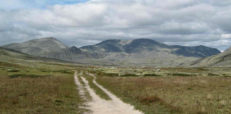 36 år etter Tsjernobyl: Radioaktiv forurensing kan fortsatt påvises