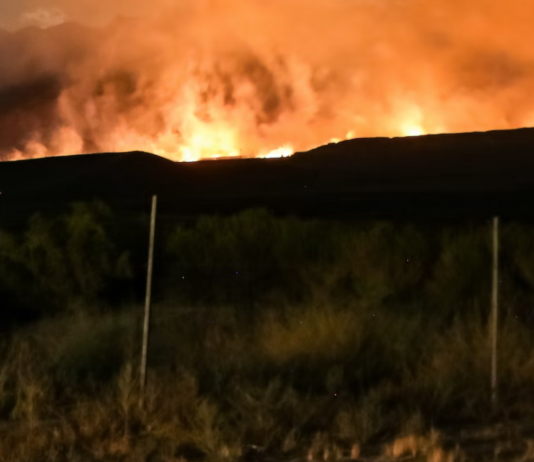 Tusenvis bedt om å evakuere på grunn av skogbrann i California