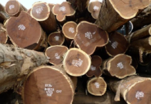 Norge og USA etablerer ny allianse mot miljøkriminalitet