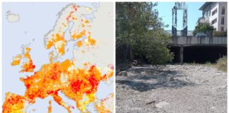 Klimaforsker om tørke på flere kontinenter: – Er blitt skremt