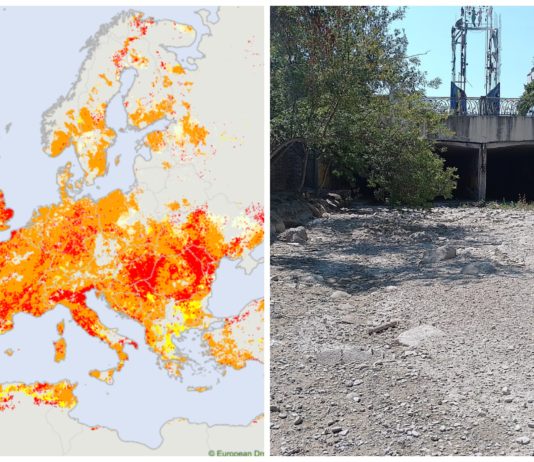 Klimaforsker om tørke på flere kontinenter: – Er blitt skremt