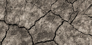 Sommeren i Europa: Fjorårets varmerekord ble knust