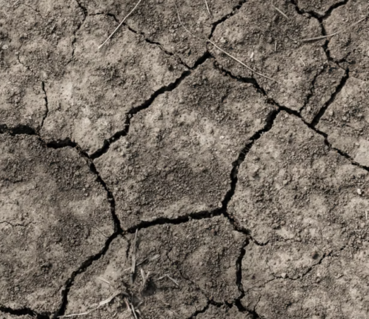 Sommeren i Europa: Fjorårets varmerekord ble knust