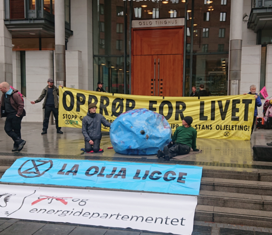 XR-aktivist kan få fengselsstraff: Nye aksjoner ved Oslo tingrett i dag