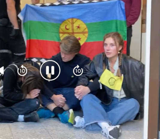 XR-aktivist fikk sparket løs limt arm – politiet har anmeldt en person