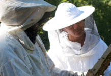 Sprøyting med klopyralid kan gi rester av ugrasmidler i honning