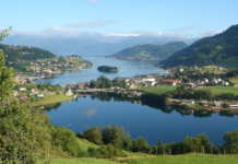14 tonn DDT vart brukt i Hardanger i si tid – framleis fins relativt høge konsentrasjonar i blåskjel