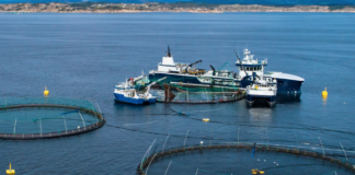 Økt oppdrettsvirksomhet fikk tommel opp fra regjeringen. Feil, sier Sivilombudet