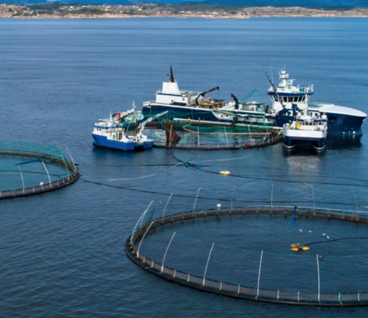 Økt oppdrettsvirksomhet fikk tommel opp fra regjeringen. Feil, sier Sivilombudet