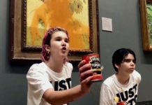 Kimaaktivister kastet suppe på van Gogh-maleri