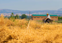 Hetebølgene i Europa kan ha krevd tusenvis av liv