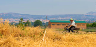 Hetebølgene i Europa kan ha krevd tusenvis av liv