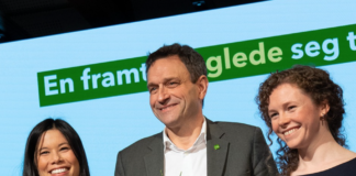 Arild Hermstad er ny MDG-leder med knapp margin