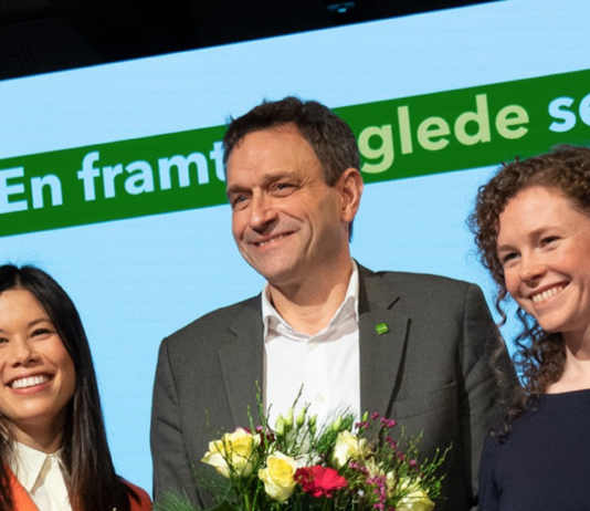 Arild Hermstad er ny MDG-leder med knapp margin