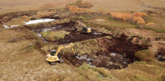 Nordland: Plugget grøfter, nå fylles myrene med vann igjen