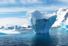 Store endringer i Antarktis: – Dårlig nytt for planeten