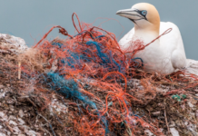 Ny rapport: Plastforurensing kan reduseres med 90 prosent innen 2040