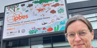 Rapport fra IPBES: Fremmede arter er en alvorlig trussel