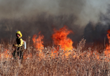 Klimakrisen – en eksistensiell trussel mot livet på jorda, sier forskere