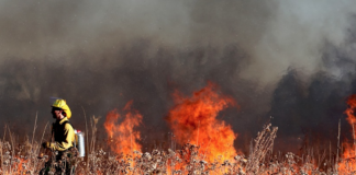 Klimakrisen – en eksistensiell trussel mot livet på jorda, sier forskere