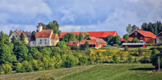 Nordmenn vil betale en tusenlapp i året for åpent jordbrukslandskap