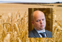 Tørke og flom halverte årets kornavling i Norge